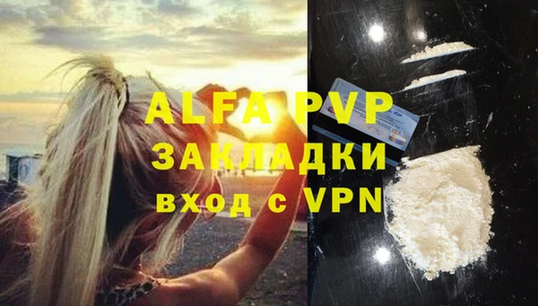 гашиш Богданович