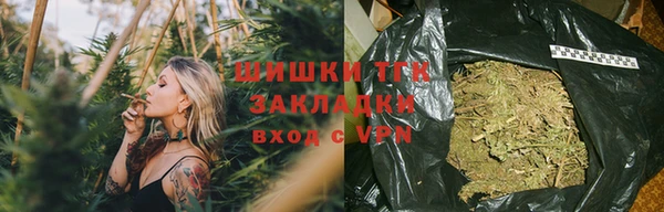 гашиш Богданович