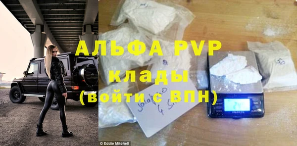 гашиш Богданович