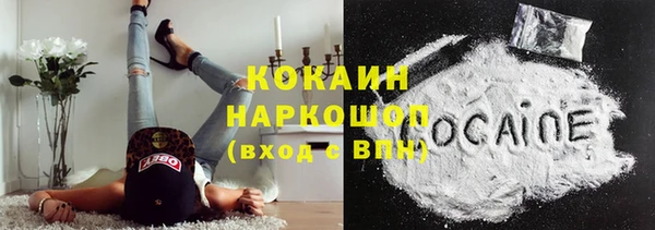 гашиш Богданович